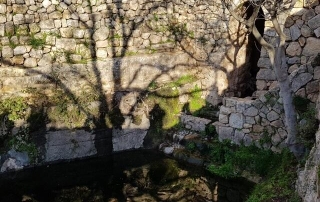 מבית מאיר לסטף