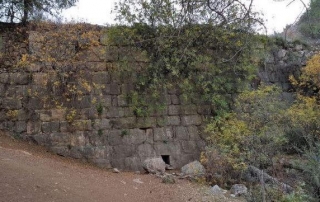 מהסטף לבר גיורא