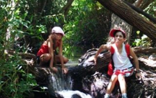 מקורות הכנרת – הזאכי – שפך נחל משושים