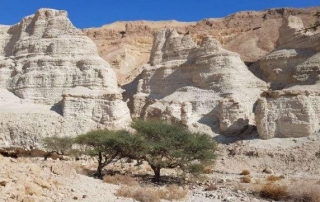 סופ”ש בדרום ים המלח