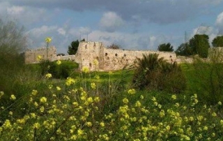 פארק אפק ומבצר אנטיפטרוס