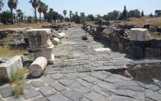 שביל עמק המעיינות קטע מס’ 10 מתל תאומים לגן לאומי בית שאן