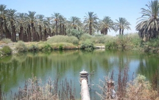 שביל עמק המעיינות קטע מס’ 8 מכפר רופין לטירת צבי