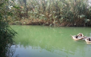 שביל עמק המעיינות קטע מס’ 9 מטירת צבי לתל תאומים