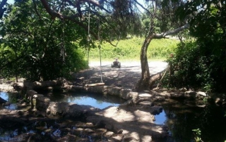 שביל רמות מנשה קטע מס 4 מחניון יופ ווסטרוויל לבנימינה