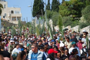 יום ראשון של הדקלים