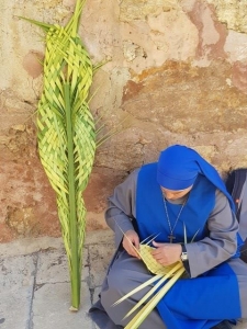 יום ראשון של הדקלים