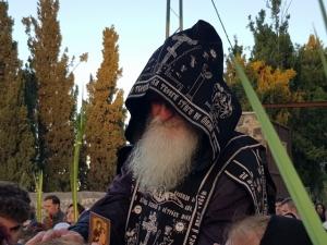 יום ראשון של הדקלים - האורתודוכסי