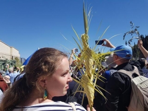 יום ראשון של הדקלים