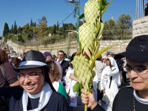 יום ראשון של הדקלים