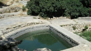 מי נפתוח - ליפתא