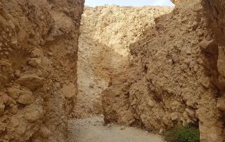 נחל סלוודורה – נחל סלבדורה