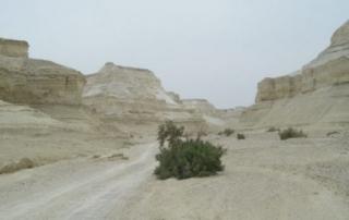 נחל פרצים והר סדום