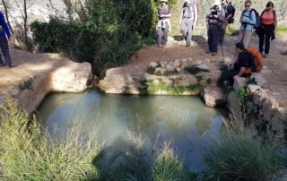 עיינות עוזי
