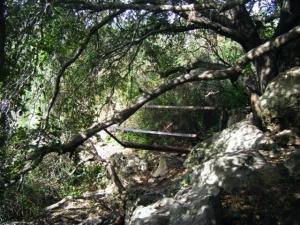 עין בקר פינת הזולה