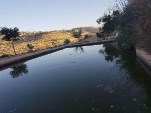 עין לבן בריכה עליונה