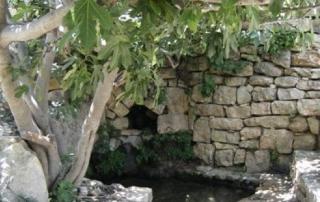 עין סגמה - עין יצחק בריכת דובק