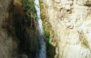 שמורת עין גדי