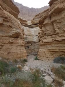 מפל בנחל קדם