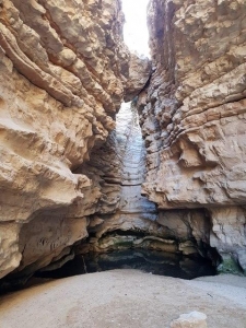 גב חוה
