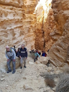 סדקי חוה