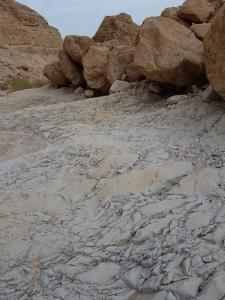 משטחי סלע בנחל קדם