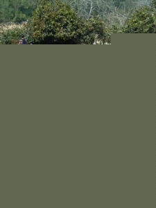 בור מים בחורבת עיתאב