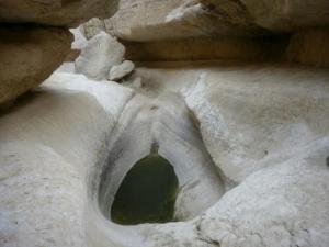 גב בנחל אשלים