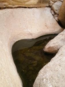 גב -בנחל משמר