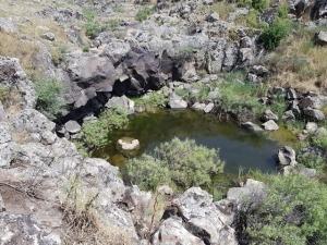 גב עונתי בנחל שוח