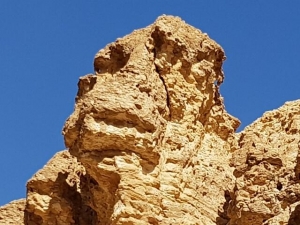 הגורילה בנחל חוה