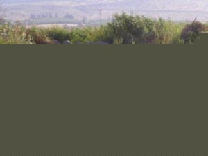 הצינור בנחל הקיבוצים