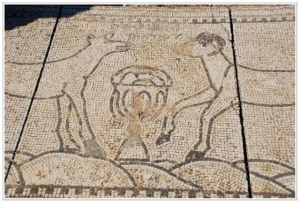 וגר זאב עם כבש - פסיפס במרות