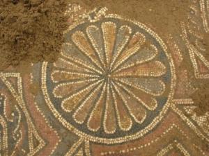 וורדה בחרבת חנות