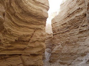 חווארי מצדה