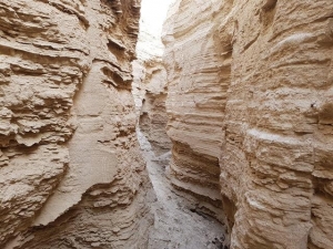 חווארי מצדה