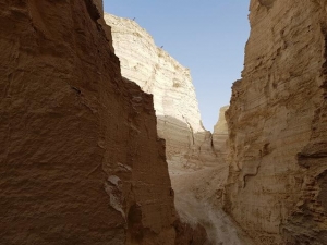 חווארי מצדה