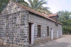 חוות העלמות