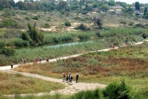 נחל אלכסנדר