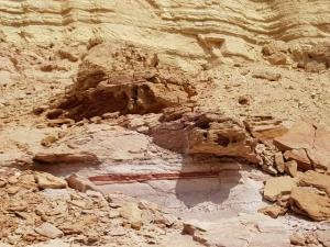 אבן חול נובית