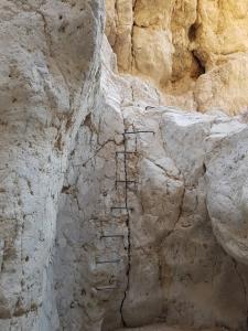 נחל צפית - מקום האסון