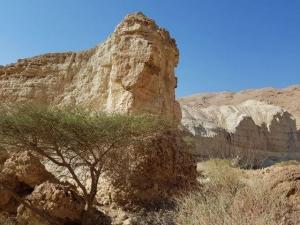 נחל רום – נחל יזרח
