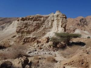 נחל רום – נחל יזרח