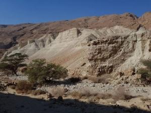 נחל רום – נחל יזרח