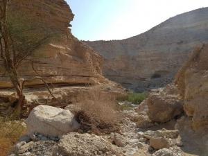 נחל רום – נחל יזרח