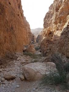 נחל רום – נחל יזרח