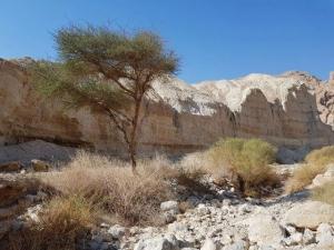 נחל רום – נחל יזרח