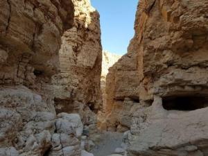 סופ”ש בדרום ים המלח - נחל זהר