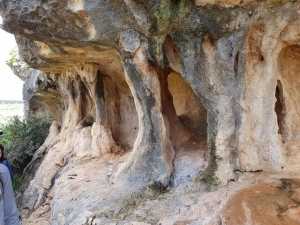 צניר וזקיפים