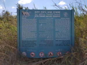 שלט ביצת זיתא